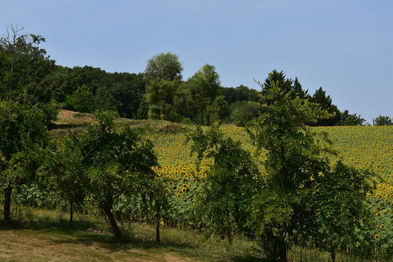 Domaine De Calbiac Dolmayrac Exterior foto