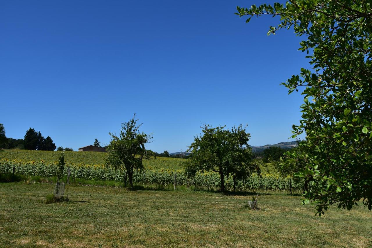 Domaine De Calbiac Dolmayrac Exterior foto